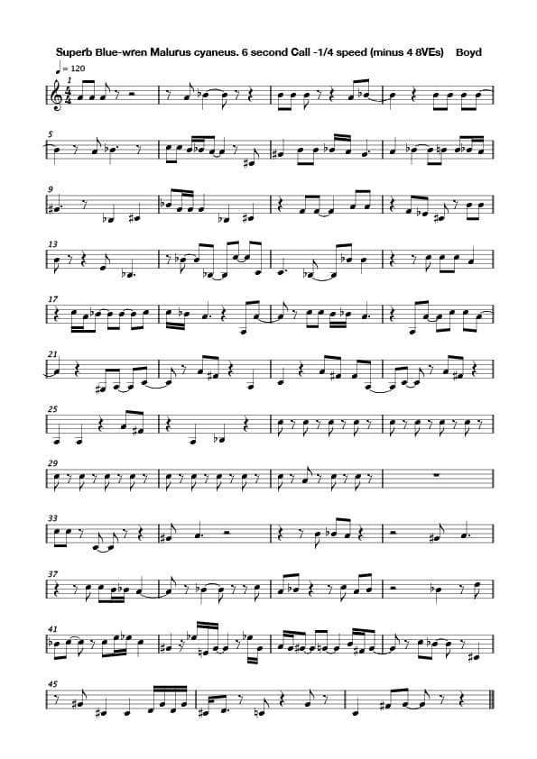The call of the Superb Blue-wren score.