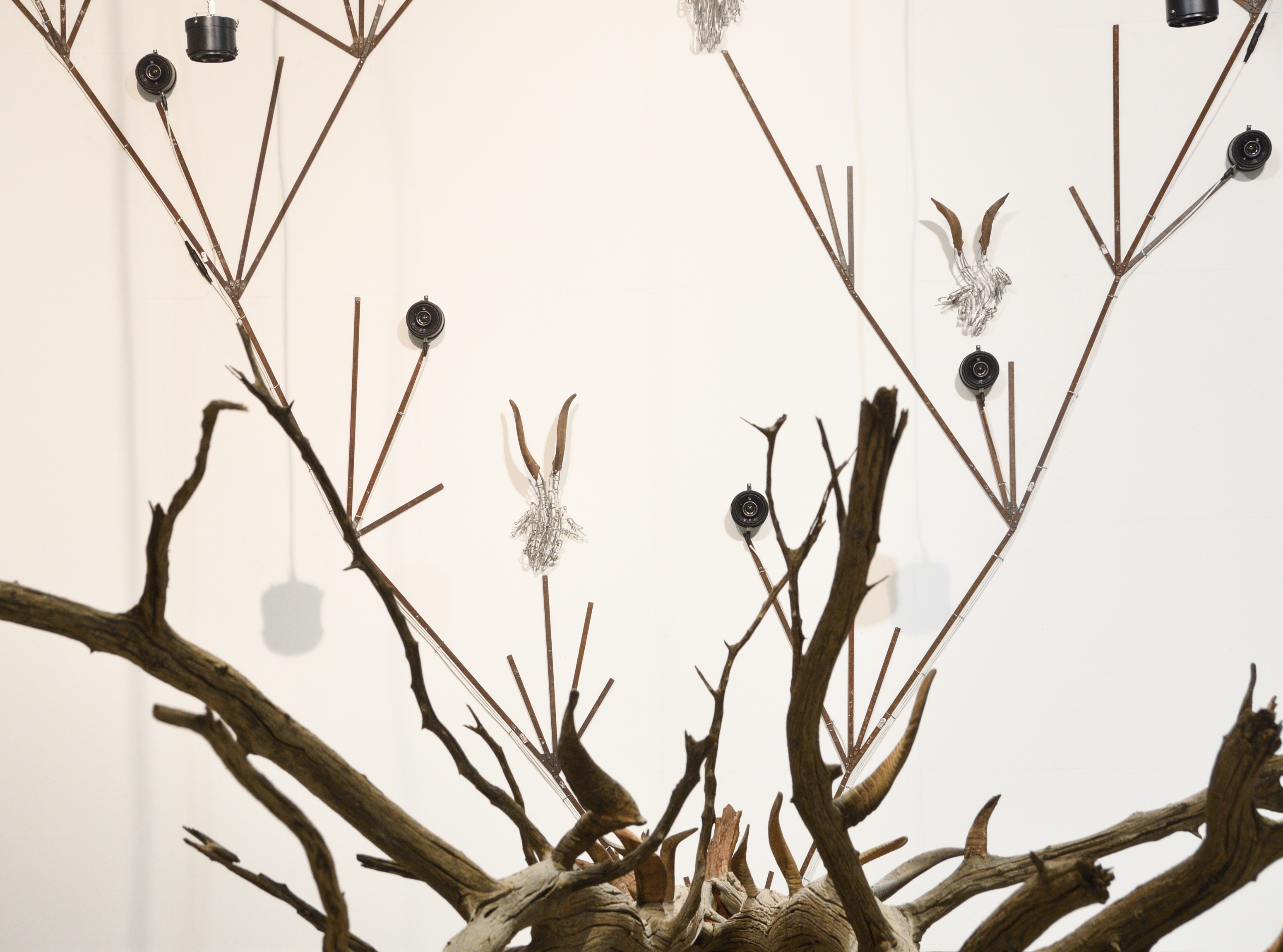 Darwin’s Tree (phylogenetic tree) recycled metal, solid rivets, wild goat horns, soundtrack, ochre